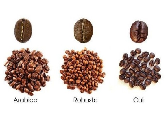 I. Hồng Minh Coffee - Đơn vị cung cấp các dòng sản phẩm cà phê hạt